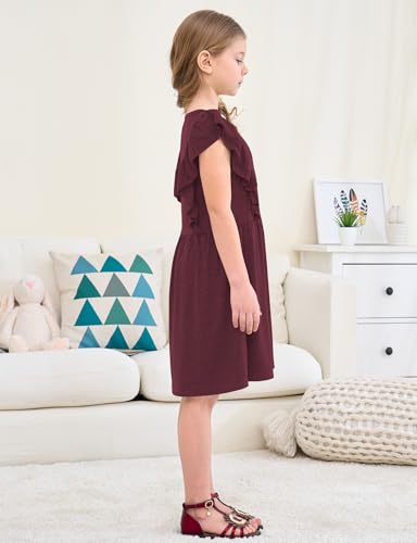 Jimonda Girls Dress Ruffle Sleeve Toddler School Skater Dress for Kids 2-8Y3