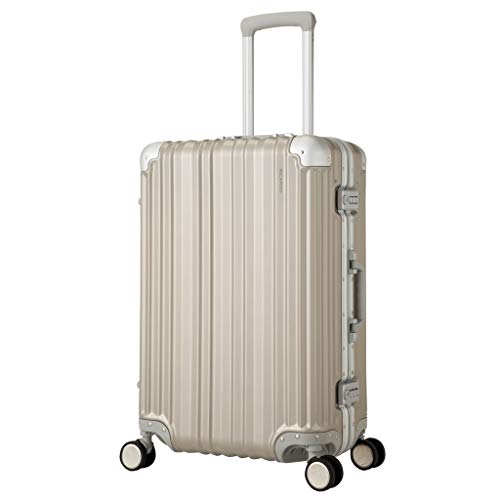 RICARDO Aileron Vault 24-inch Spinner Suitcase スーツケース 58L AIV-24-4VP Gray