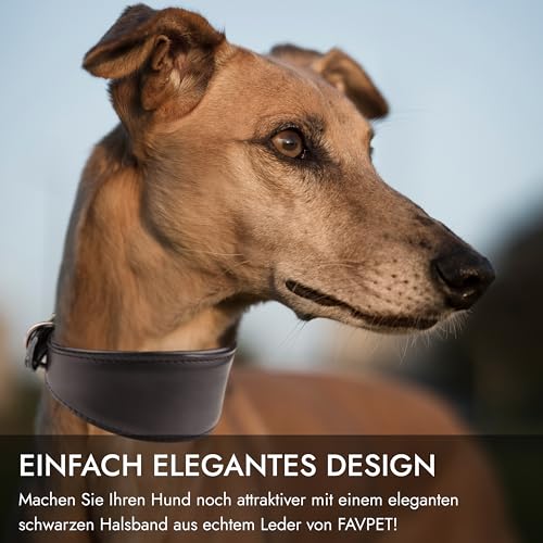 FAVPET Echtleder Windhund Halsband mit QR Code Anhänger, Weiches Lederhalsband Hund Breit Whippet Italienisches Windspiel Saluki Lurcher Spanischer Galgo Greyhound Podenco, Hundehalsband Leder (XS)