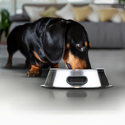 SHAWN Drip Stop Dog Bowl| No Spill Water Bowl with Removable Cover| Grip Handle| Stainless Steel, Anti-Skid Rubber Base| Non-Slip Pet Bowl | Puppy, Kitten Dish (900 ml, 32 OZ)