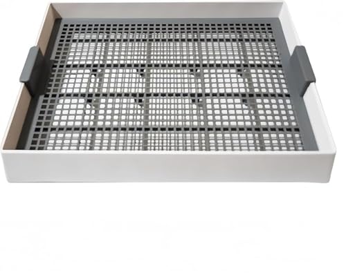 AOBOPO P[W ^pgC hHp^e ȒP ``EbgpgCpi P[W