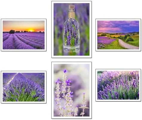 Set of 6 A4 Decorative Wall Sheets for Pictures Living Room Decoration Modern, Bedrooms, Room, Without Frame, Landscape, Nature, Fields Lavender Brihuega (29.7 x 21 cm) Set of 6 A4 Decorative Wall Sheets for Pictures Living Room Decoration Modern, Bedrooms, Room, Without Frame, Landscape, Nature, Fields Lavender Brihuega (29.7 x 21 cm)
