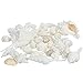 White Decorative Sea Shell Mix |1 Pound of Shell for Decoration | Shells for Craft | Nautical Crush Trading TM