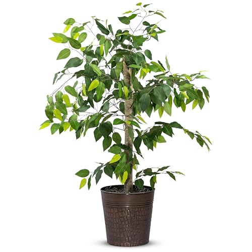 LCG Florals 4ft Ficus Tree in Copper Metal Pot with