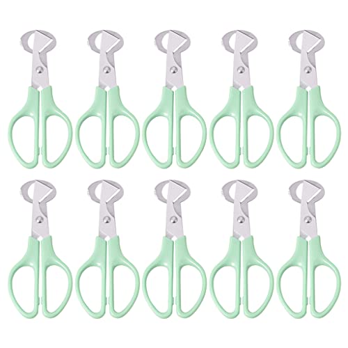 10pcs Quail Eggs Scissors Stainless Steel For Quail Egg Cutter For Bird Quail Egg Opener Kitchen Egg She Quail Egg Shell Cutter