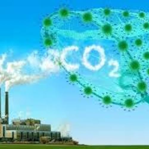 Chuyển đổi xanh - X&acirc;y dựng cơ sở dữ liệu carbon xanh quốc gia định hướng giảm ph&aacute;t thải đến 2035