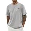 #001 Light Gray