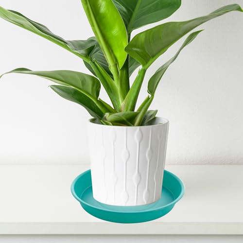 image for Bleuhome 4 Pack of 14 inch Plant Saucers Bird Bath Bow Round, Plastic 