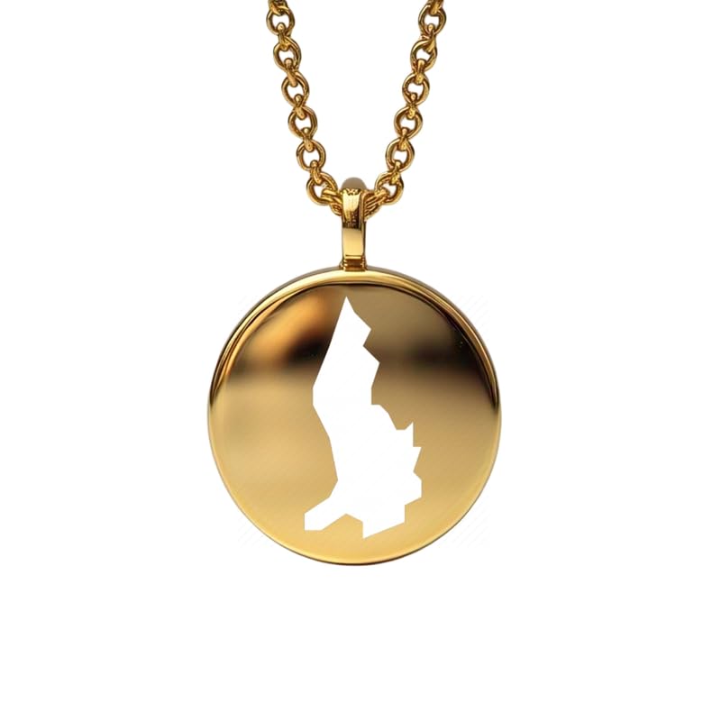 Pendentif carte du Liechtenstein en argent sterling plaqué or 14 carats, forme ronde de 24 mm et épaisseur de 1,5 mm, breloque Terre, bijou de voyage délicat | Médaillon gravé Aventure | LKB_MAP_572