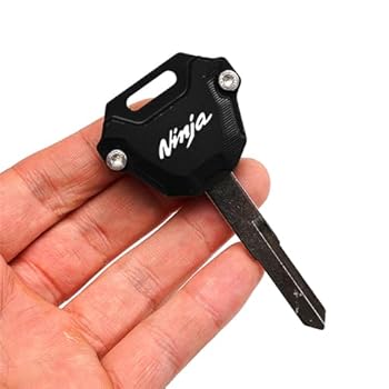 thumbnail: Motorfiets Sleutelhanger Voor Kawasaki Z650 - Metalen Pin, Handbeschilderd, Met Klittenband Bevestiging