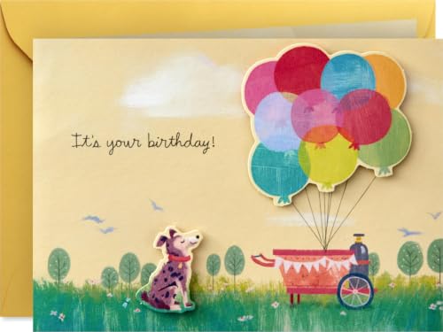Hallmark Paper Wonder Pop Up Birthday Card...
