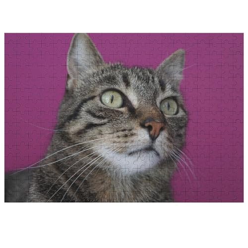 L   pY NG[VAjObY X^CbV l jp D ߋ t@[Xg`CX ؐ  Ǐ葡蕨 av[g 300 PCS