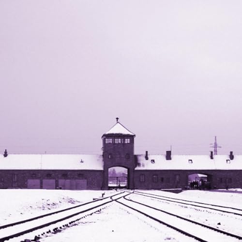 The Nazi Experiment, Vol. 9: The Centrality of the Jewish Question Podcast Por  arte de portada