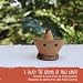 6 Conos de Palo Santo - Variedad Selecciòn - Incienso Natural -...
