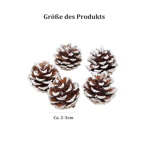 ENLACE 30 Stück Tannenzapfen, ca. 2-3cm, Klein Weihnachten Tannenzapfen mit Weißer Anstrich, Natur Kiefernzapfen Deko für Weihnachtsdeko DIY Handwerk Weihnachtsbaum Herbst Winter Dekoration – Bild 2