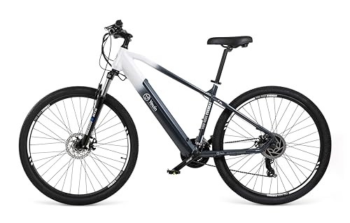 Youin Everest BK3100M BK3100L Bicicleta elĆ©ctrica montaƱa Motor 250W baterĆa LG 504Wh Ruedas 29 Pulgadas Shimano 21V Frenos Disco IP65 Pantalla LCD