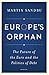 Europe's Orphan: The Future of the Euro and the Politics of Debt - New Edition