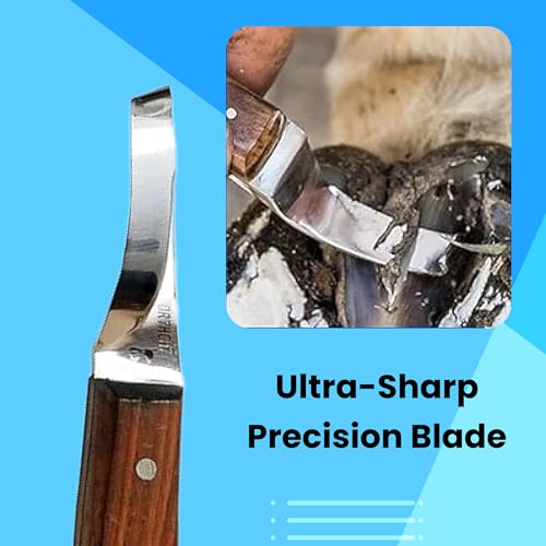Image of Hoof Knife Single Sided Edge Curved Blade - Stainless Steel Curved Blade Farrier Tool with Wooden Handle, Multipurpose Hoof Trimming Knife for Livestock, 3-Inch Blade, 8.5-Inch Overall