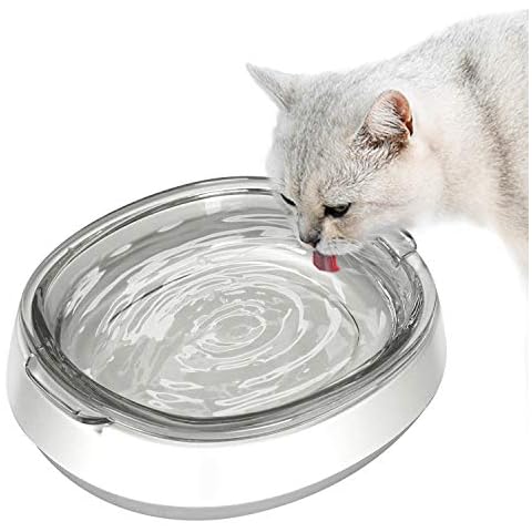 Star Small Glass Cat and Dog Bowl Cover
