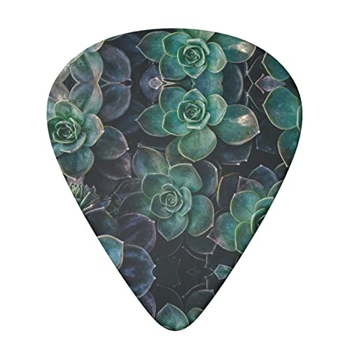 Succulent Plants Lot de 6 médiators pour guitare acoustique, guitare électrique, basse, ukulélé – fin, moyen et épais. - Les Beatles, Paul McCartney, John Lennon, RIngo Starr, George Harrison Succulent Plants Lot de 6 médiators pour guitare acoustique, guitare électrique, basse, ukulélé – fin, moyen et épais. – Image 4