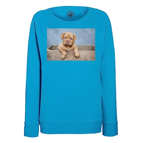 Sweat chiot Dogue de Bordeaux mignon : textile doux et chaud
