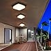 AXFSHJD Modern Outdoor/Indoor Ceiling Lamp,LED Ceiling Lighting, IP65 Waterproof 3000K Warm Light Square Ceiling Light Fixture,Flush Mount Ceiling Lamps for Entryway Garage Hallway(22cm)
