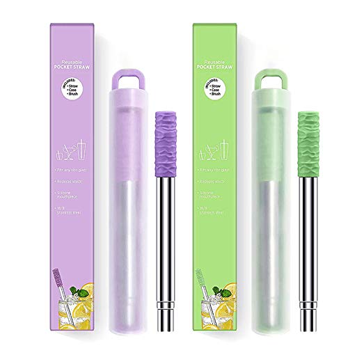 Lot de 2 pailles portables Cover