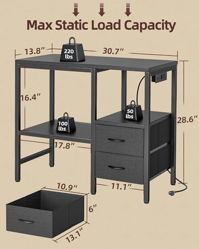 TIQLAB 20-29 Gallon Multi - Tier Aquarium Stand with Storage Drawers & Shelf, Sturdy Metal Frame for Fish Tanks with Power Outlet, 30.7" L*13.8" W Tabletop, Black - Image 4