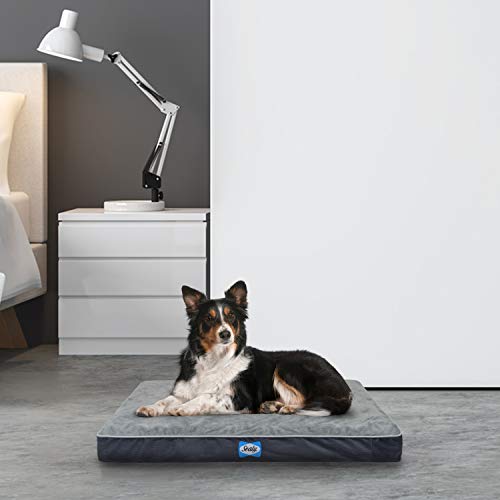 Sealy Ultra Plush Dog Bed - Orthopedic Foam pet Bed with Machine Washable
