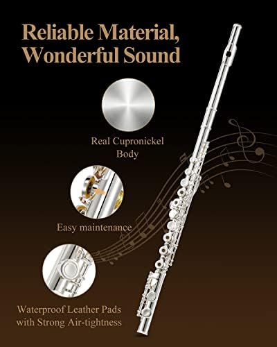 Eastar C Flutes Open Hole 16 Keys for Beginner Kids, Student Flute Fingering Chart, Cleaning Kit, Stand, Carrying Case, Gloves, Tuning Rod, Silver, EFL-2