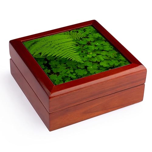 3dRose Redwood sorrel with lady fern, Humboldt Redwoods SP, California, Jewelry Box jb-208787-1