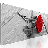 Marque : Paris Prix Paris Prix Tableau Imprimé Carmine Rose 45 x 135 cm