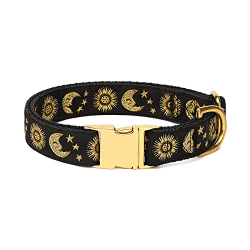 versace cat collar