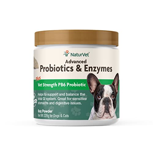 Naturvet – Advanced Probiotics & Enzymes - Plus Vet Strength Pb6 Probiotic | Supports And Balances Pets With Sensitive Stomachs & Digestive Issues | For Dogs & Cats (8 Oz) #TOP2