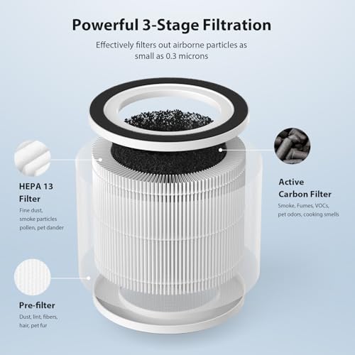 Image of 2 Pack True HEPA Replacement Filter for HIMOX H06 & Afloia Gala Air Purifiers, 3-Stage Filtration with Activated Carbon