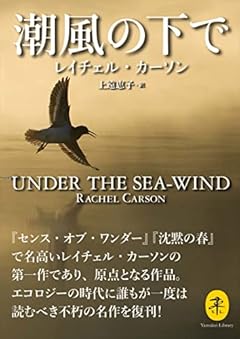 ヤマケイ文庫 潮風の下で