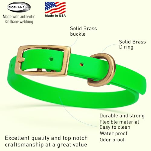 Image of Viper Biothane Heavy Duty Waterproof Dog Collar Strong Coated Nylon Webbing w /Solid Brass Hardware Odor-Proof Easy to Clean High Performance Fits Small Medium or Large Dogs, Tropical Green