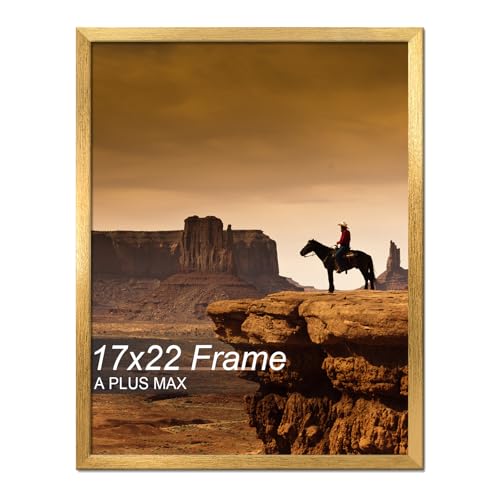 A PLUS MAX 17x22 Picture Frame Gold Light Weight Wall Mount