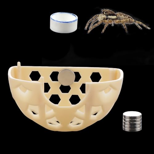 Image of DQITJ Jumping Spider Hidden House Tarantula Enclosure Accessories with Magnet and Water Bowl for Tarantula Insect Praying Mantis Jumping Spider Stick Insect