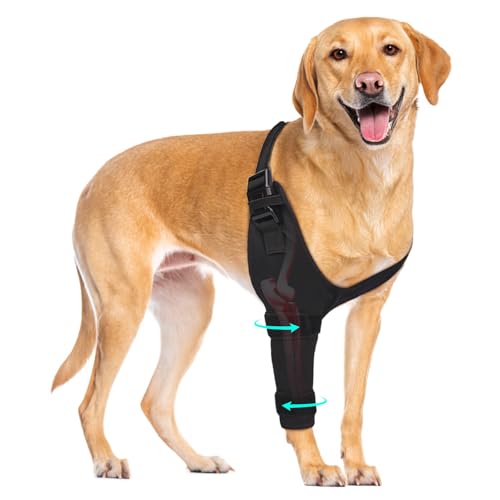 Pawfun Dog Elbow Brace Sleeve, Breathable and Adjustable Front Leg Support Brace for Arthritis, Hygroma, Pressure Sores, and Calluses, Soft Wrap for Lick Prevention and Injury Recovery, Right L