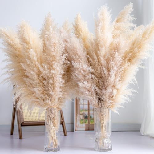 Tall Pampas Grass 30PCS Boho Decor Natural Home Decor Phragmites ...