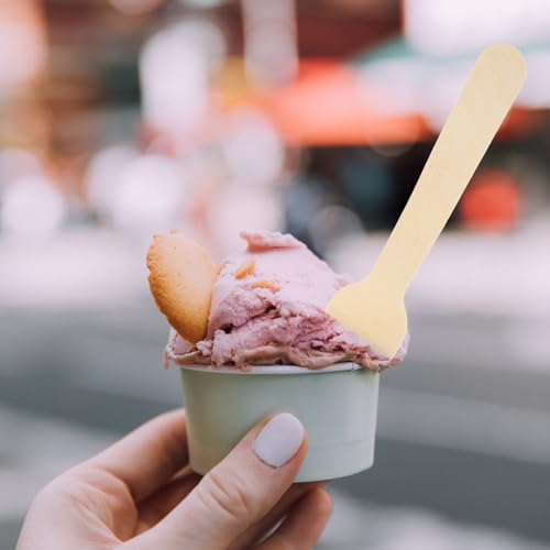 Hoement 100 ؐACXN[Xv[ P[LfU[gp ₷炩ȑprXv[ yʂŎ^ѕ֗ ɗD