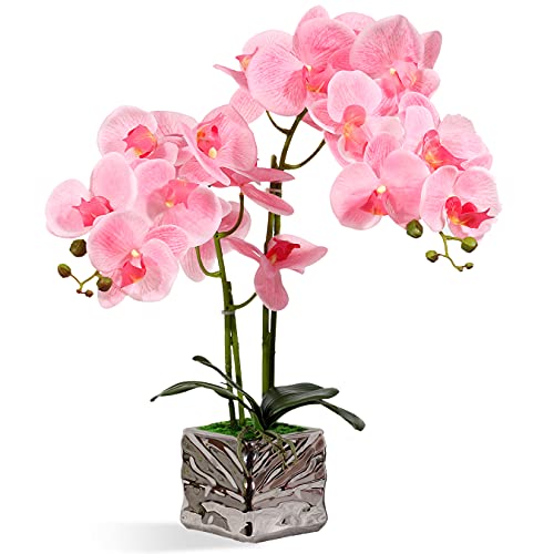 RENATUHOM Künstliche Orchidee rosa Orchidee fühlt Sich echt an künstliche Orchidee Bonsai mit silberner Keramikvase künstliche Topfpflanze für Zuhause Schlafzimmer Küche Badezimmer Tischdekoration