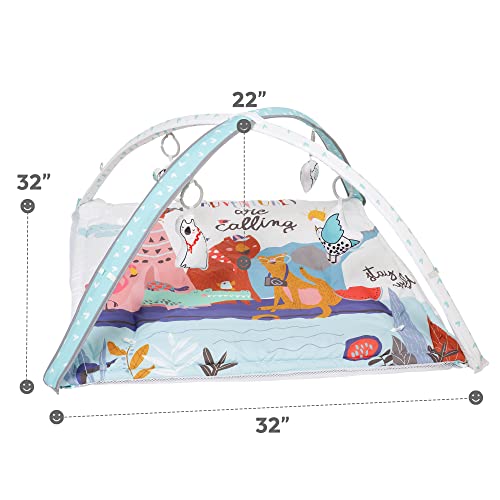 Ladida Baby Activity Gym, Play Gym With Ball Pit - 3 Stage Play Gym Padded Tummy Time Mat With Stem Based Toys For Sensory And Motor Skill Development, Newborn To Toddler,Include 10 Balls #TOP4