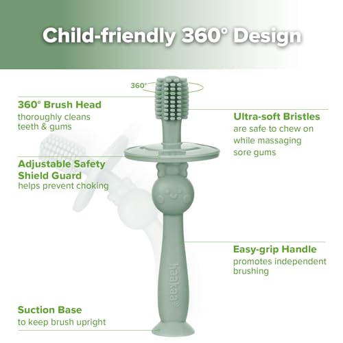 Image of haakaa 360 Baby Toothbrush with Suction Base - Pea Green | Gentle Cleaning for Infants, Gum Massage, BPA-Free, Food-Grade Silicone, Adjustable Safety Shield, Safe for Babies 6 Months+