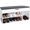 RICOO Meuble Chaussure Entree 105 X 55 X 32 Cm WM041-EW Range Chaussures Chêne Marron Wotan – Etagere Rangement