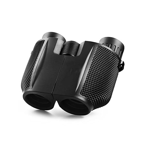 Fernglas 10x25 FerngläSer Mit Nachtsicht Hd Fernglas FüR Kinder Und Erwachsene Fernglas Klein Mit Bak4-Prismen Fmc Linse – Bild 5
