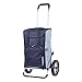 Andersen Carro de Compra Royal con Bolsa Dante Azul, Volumen 45L, Marco Aluminio y Ruedas con radios metallicos, Compartimento Termico