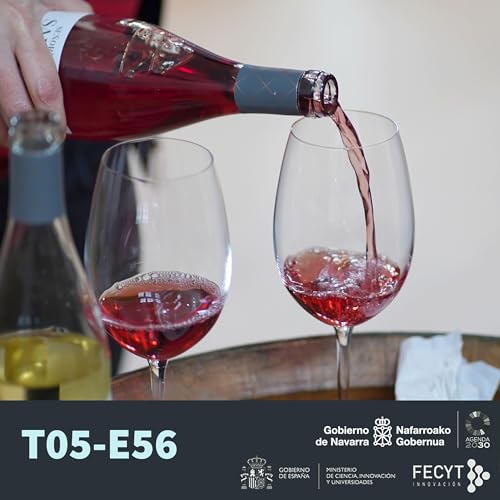 Navarra, el vino como respuesta