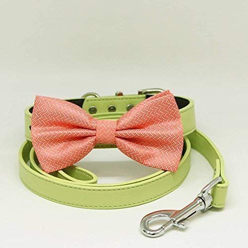 peach dog collar